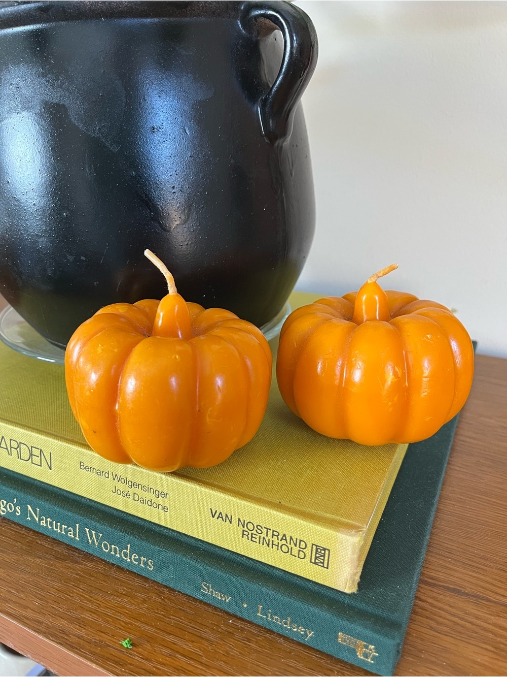 Autumn Pumpkin Pillar Candles — Orange